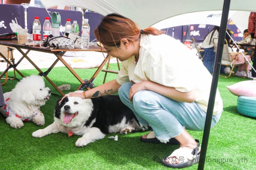 西宁大象城“宠友生涯节”来啦~_6008集团官方网站集团官方网站