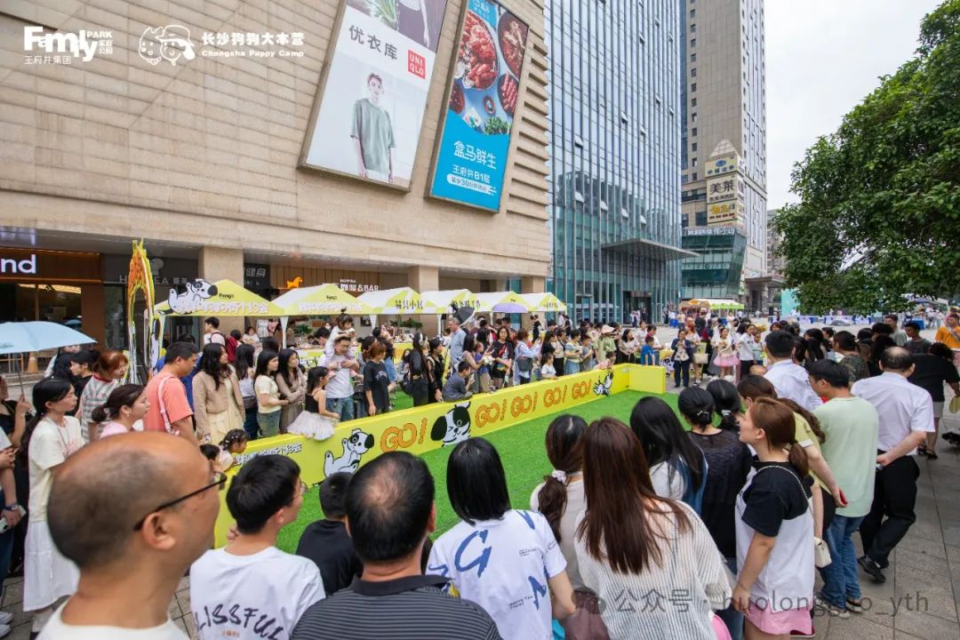 逸天城、UP TOWN、Family PARK打造“萌宠墟市”_6008集团官方网站集团官方网站