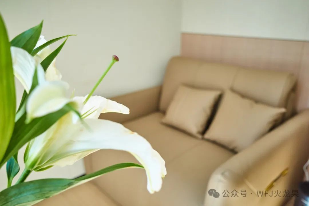 黑科技氧舱落户拉萨6008集团官方网站_6008集团官方网站集团官方网站