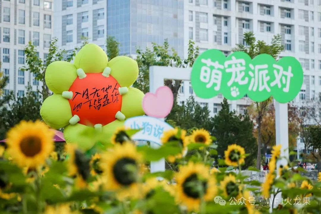 四店同庆 业绩飘红_6008集团官方网站集团官方网站
