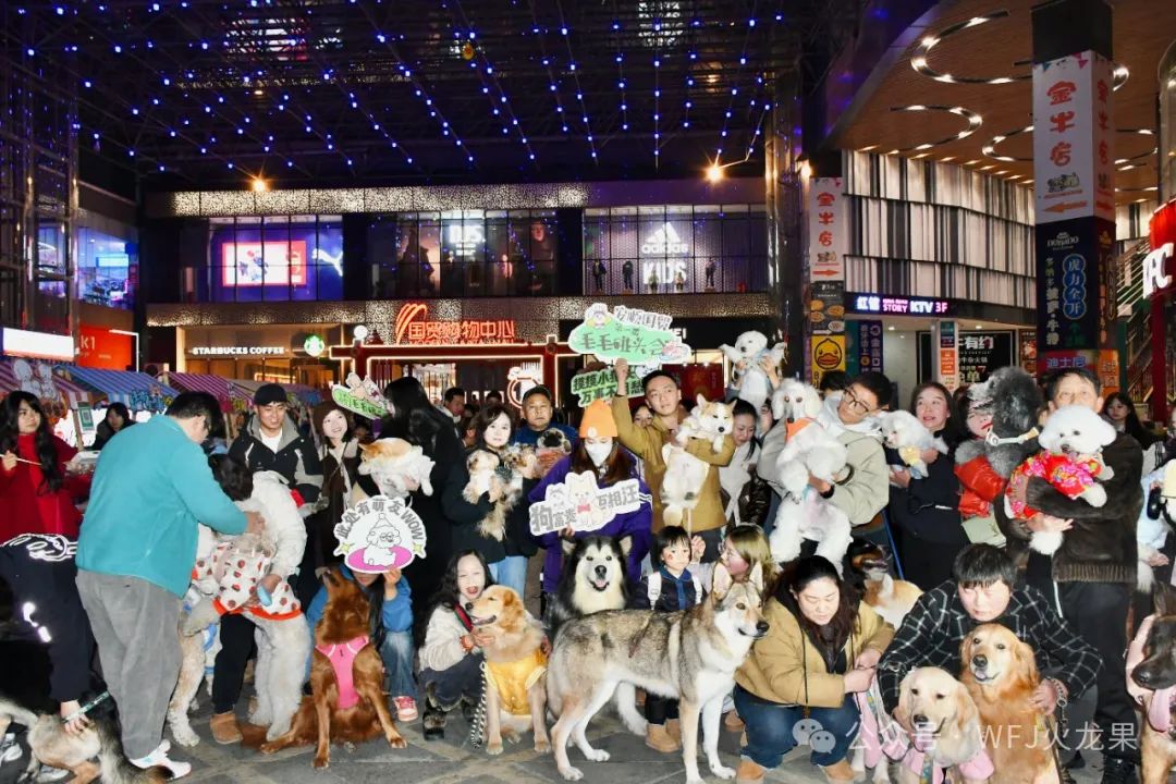  元旦再盘货：解锁跨年N种玩法_6008集团官方网站集团官方网站