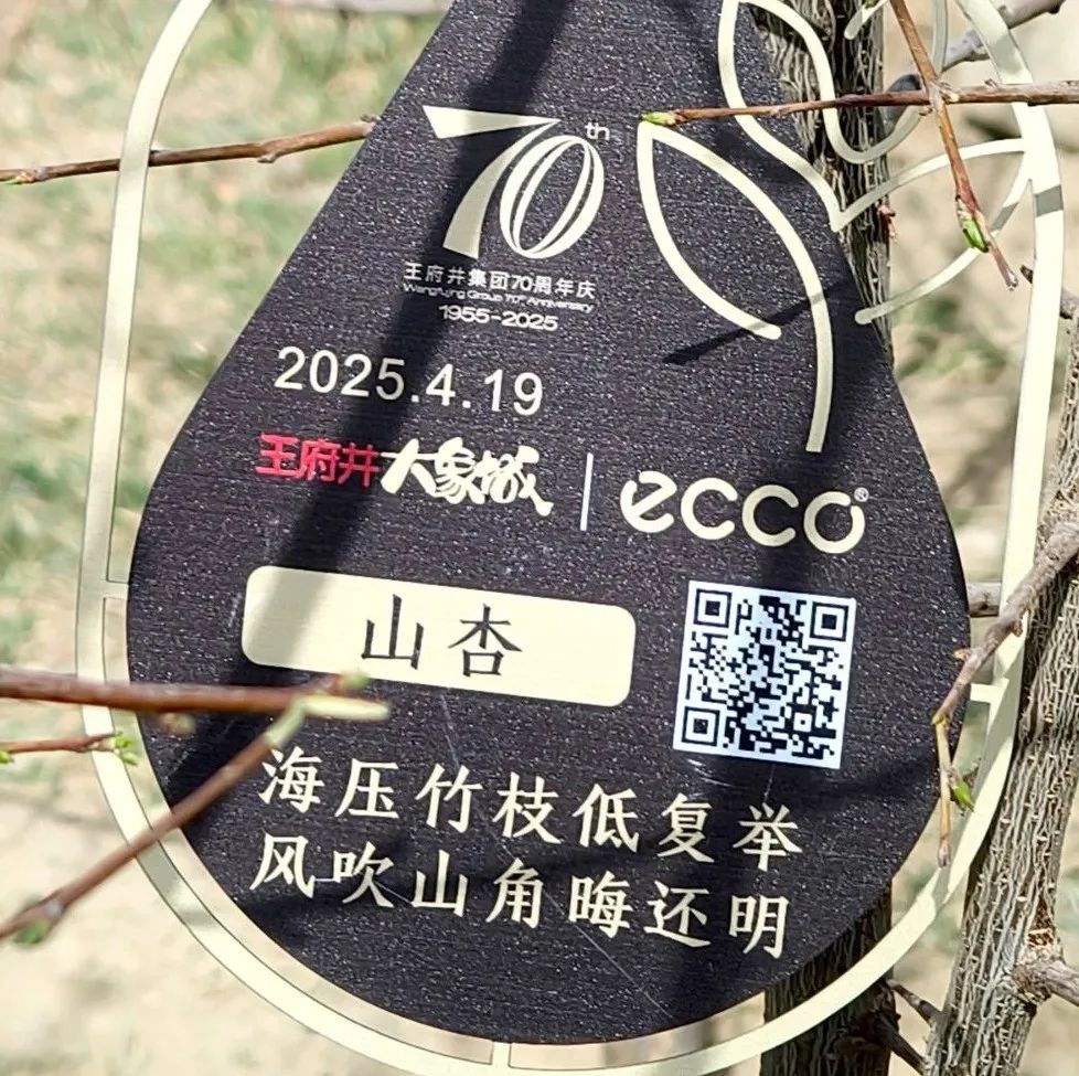 最尤物间四月天 不负春风与善行_6008集团官方网站集团官方网站