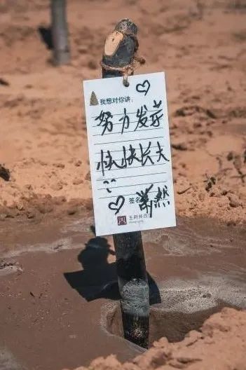 最尤物间四月天 不负春风与善行_6008集团官方网站集团官方网站