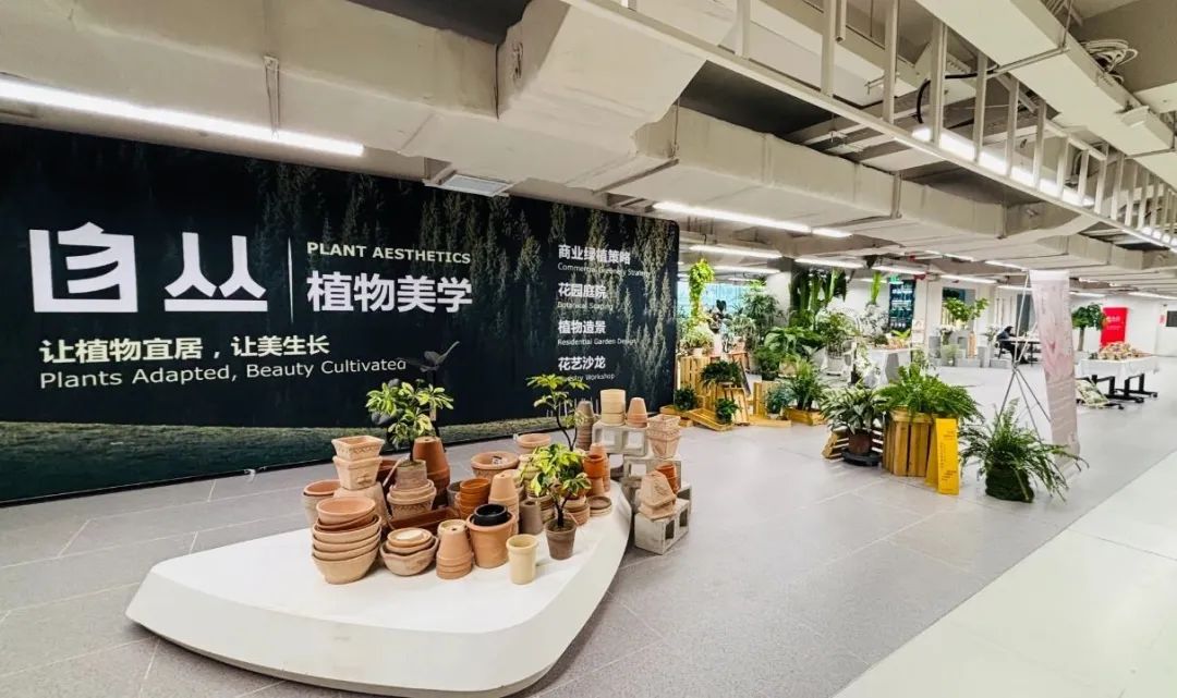 重塑?破界?配合——解码双安阛阓焕新密钥_6008集团官方网站集团官方网站