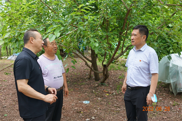 6008集团官方网站(中国)股份有限公司